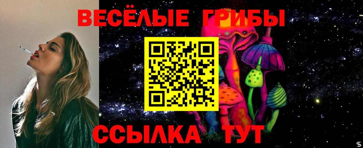 Бузулук  Галлюциногенные грибы GOLDEN TEACHER  Вход с VPN 